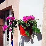 Lavanta Cunda *