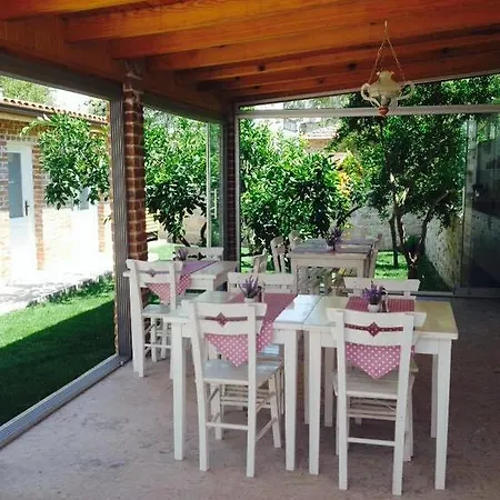 Lavanta Cunda Ayvalı