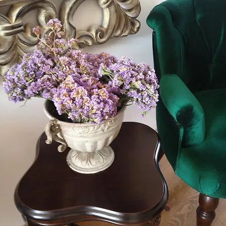 Lavanta Cunda Ayvalı