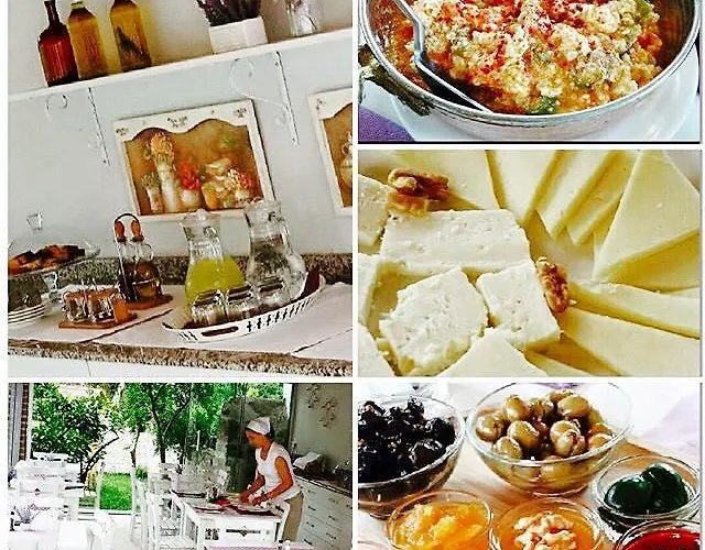 מלון Lavanta Cunda